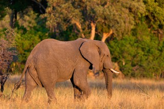 Botswana vejrudsigt