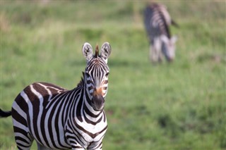 Botswana vejrudsigt