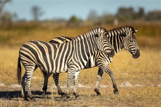Botswana prévisions météorologiques