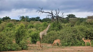 Botswana vejrudsigt