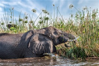 Botswana vejrudsigt