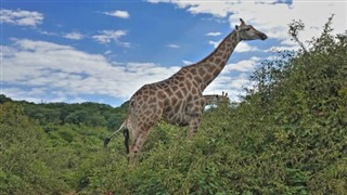 Botswana vejrudsigt