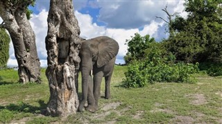 Botswana pronóstico del tiempo