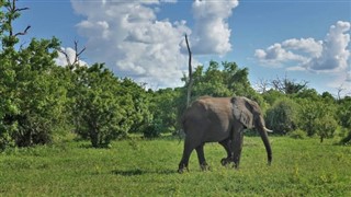 Botswana Időjárás-jelentés