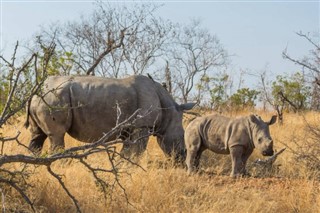 Botswana vejrudsigt