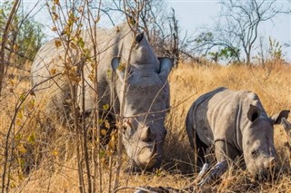 Botswana vejrudsigt