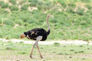 Botswana időjárás-jelentés