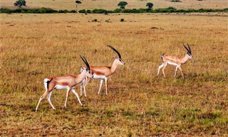 Botswana időjárás-jelentés