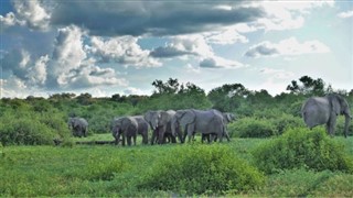 Botswana vejrudsigt
