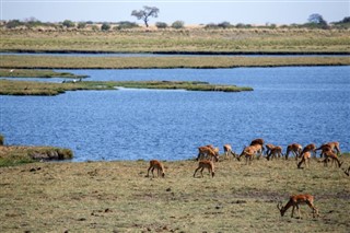 Botswana vejrudsigt