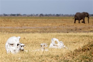 Botswana időjárás-jelentés
