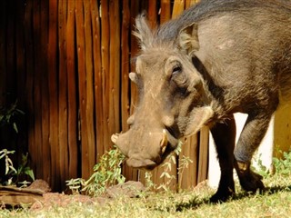 Botswana időjárás-jelentés