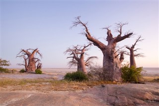 Botswana prévisions météorologiques