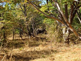 Botswana vejrudsigt