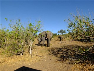 Botswana pronóstico del tiempo
