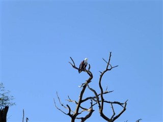 Botswana vejrudsigt
