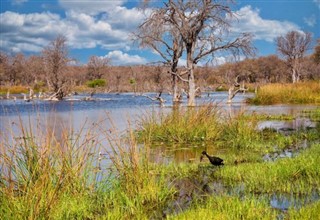 Botswana prévisions météorologiques