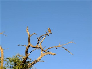 Botswana időjárás-jelentés