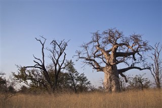 Botswana předpověď počasí