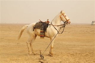 Botswana prévisions météorologiques