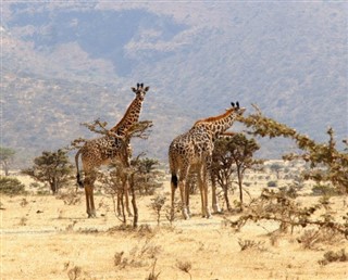 Botswana vejrudsigt