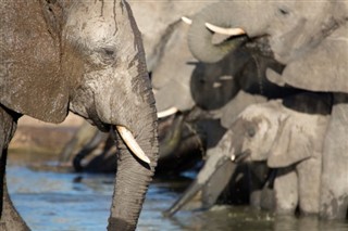 Botswana pronóstico del tiempo