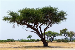 Botswana prévisions météorologiques