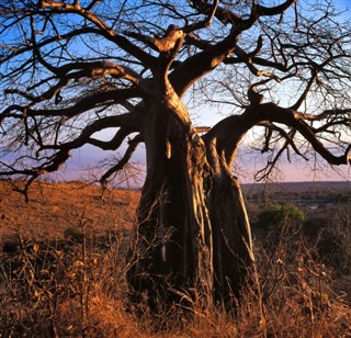 Botswana pronóstico del tiempo