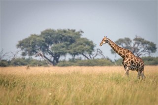 Botswana vejrudsigt