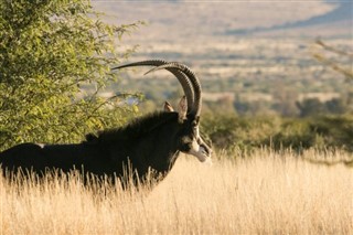 Botswana vejrudsigt