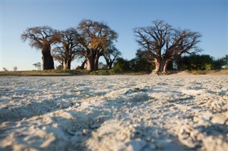 Botswana pronóstico del tiempo