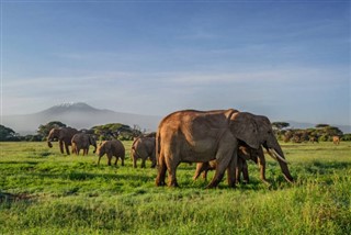 Botswana prévisions météorologiques