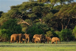 Botswana vejrudsigt