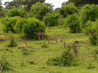 Botswana vejrudsigt