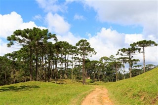 Brazília Időjárás-jelentés