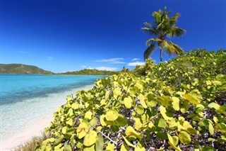 British Virgin Islands vejrudsigt