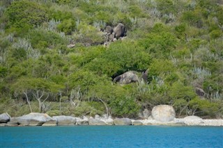 British Virgin Islands vejrudsigt