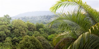 Brunei hava tahmini