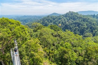 Brunei hava tahmini