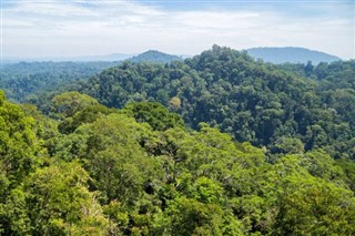 Brunei hava tahmini