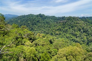Brunei Hava tahmini