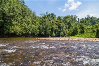 Brunei hava tahmini