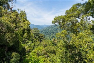 Brunei hava tahmini