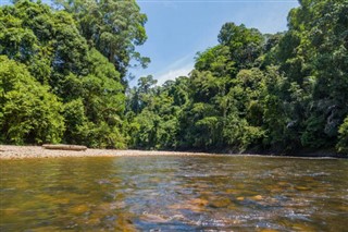 Brunei hava tahmini