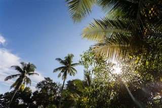 Brunei Hava tahmini