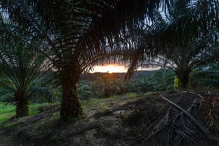 Brunei Hava tahmini