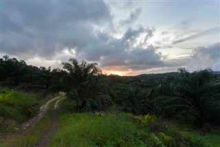 Brunei hava tahmini