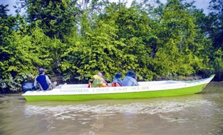 Brunei hava tahmini