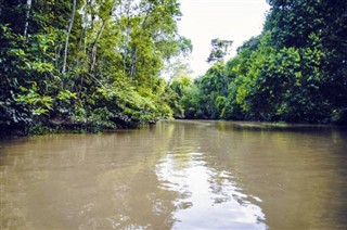 Brunei hava tahmini