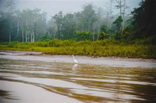 Brunei vejrudsigt